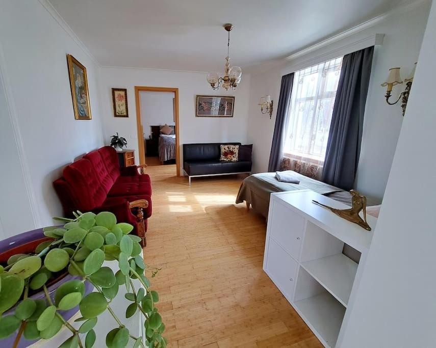 Spacious Apartment -Top Location Акурейрі Екстер'єр фото